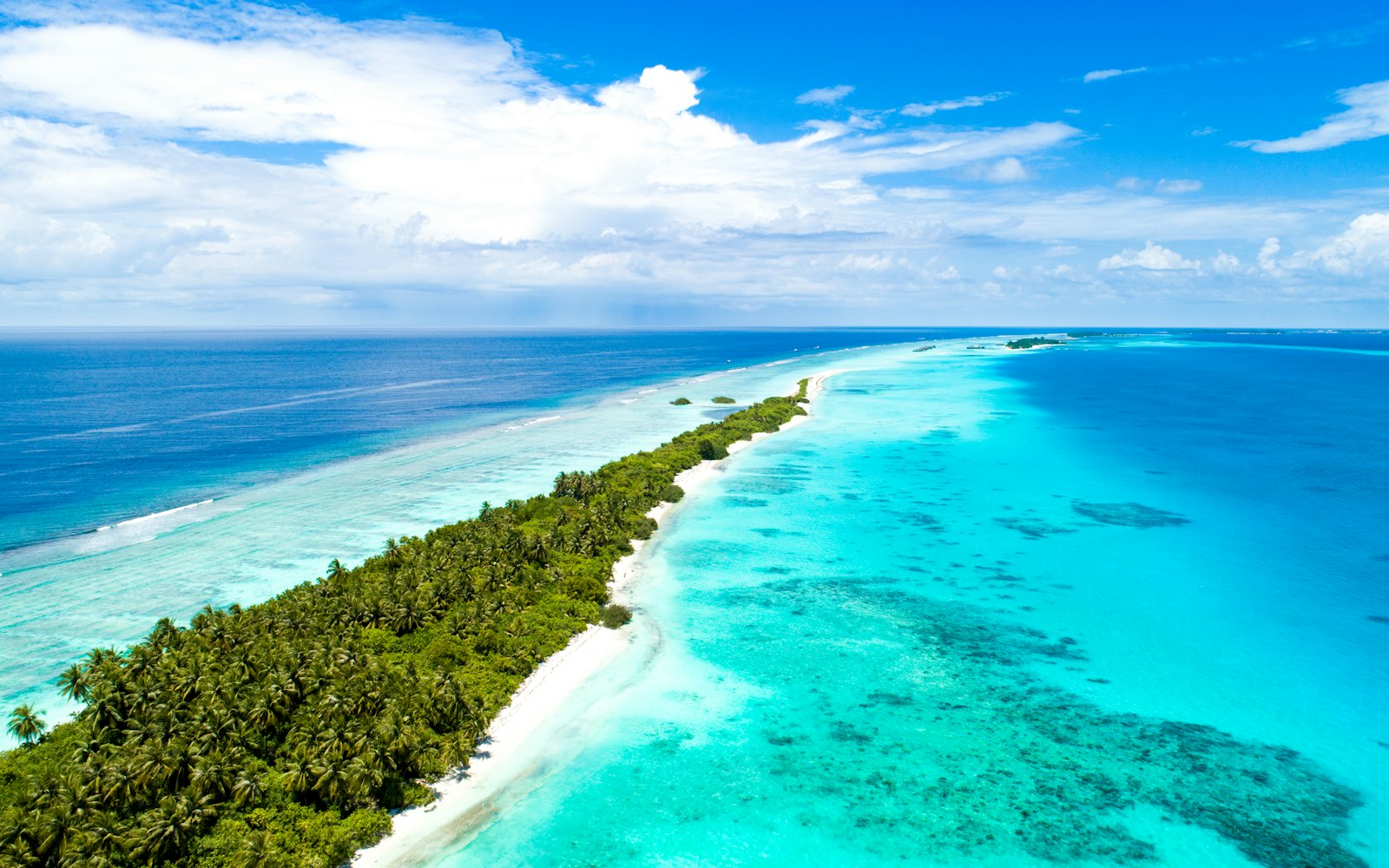 Sandbank Excursion & Picnic